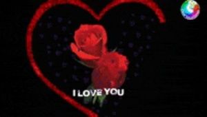 Meet your Posher, Sofia